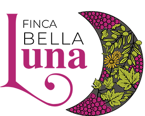 Finca Bella Luna - Vineyards & estate